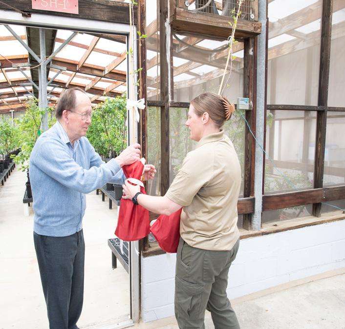 Plant Health Safeguarding Specialist handing cherry trees to supervisor for placement in the facility’s stone fruit screenhouse until planted in 2026.