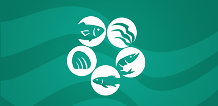 aquaculture collage graphic