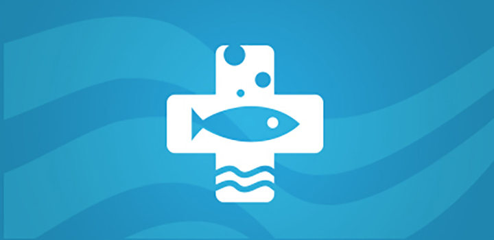 fish graphic