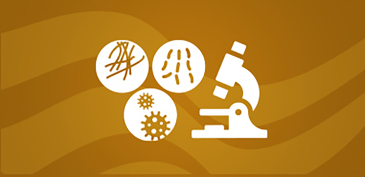 microscope graphic