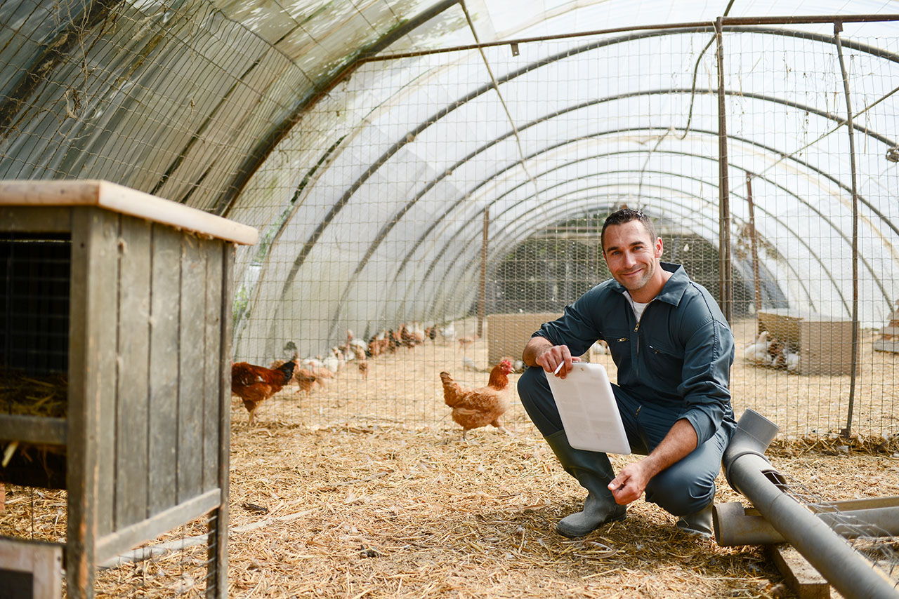 man in coveralls kneeling in a poultry barn
