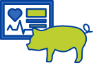 pig vitals icon