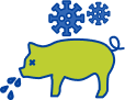 sick pig icon