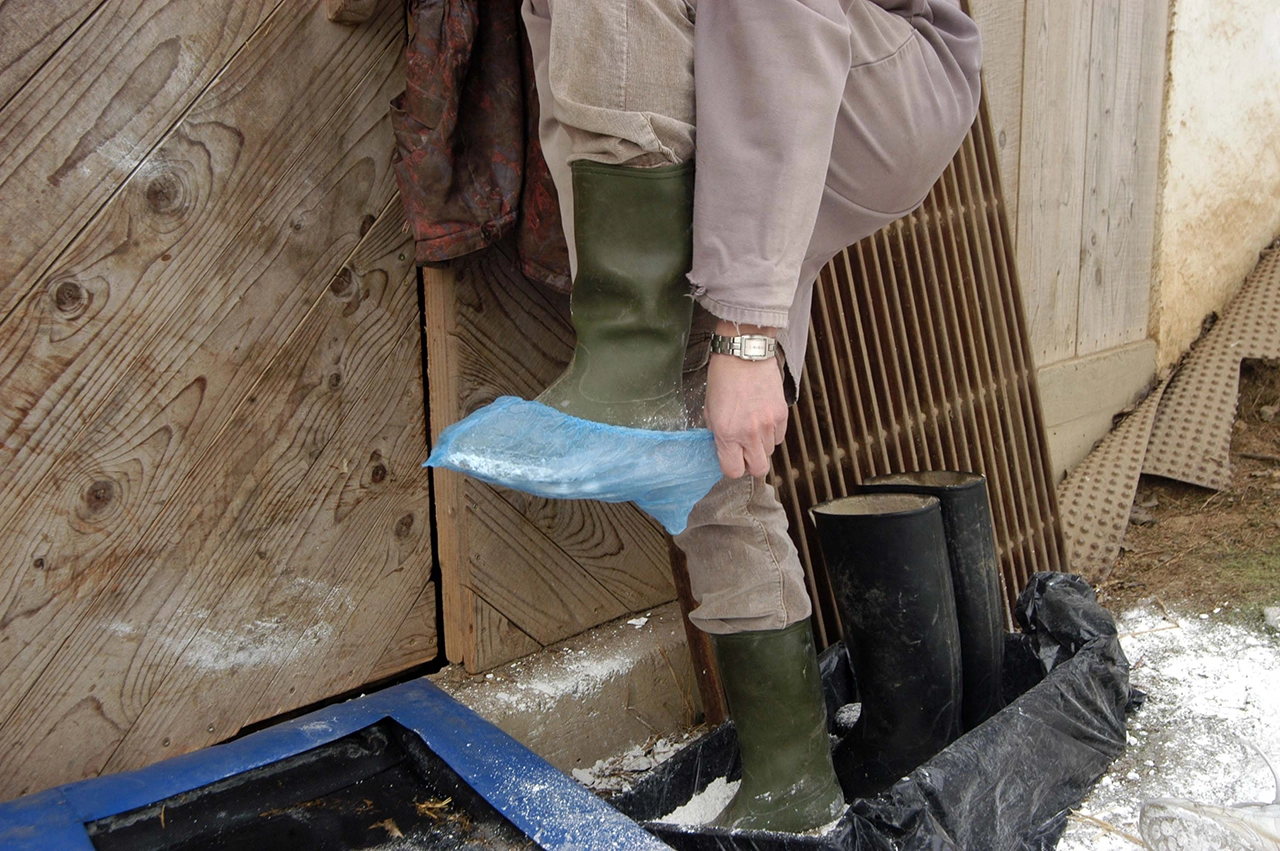 person putting on boot covers