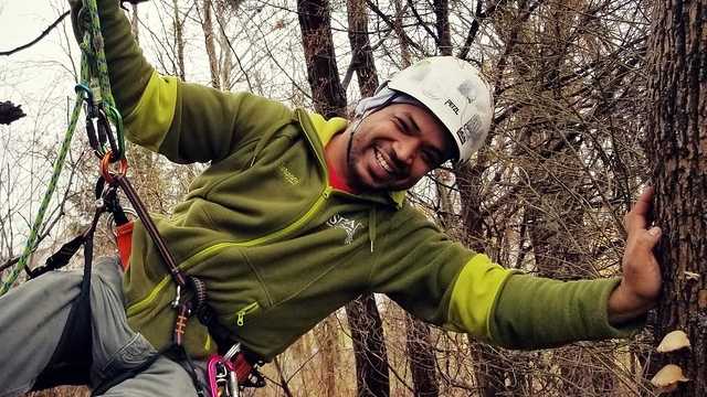 Tree climber