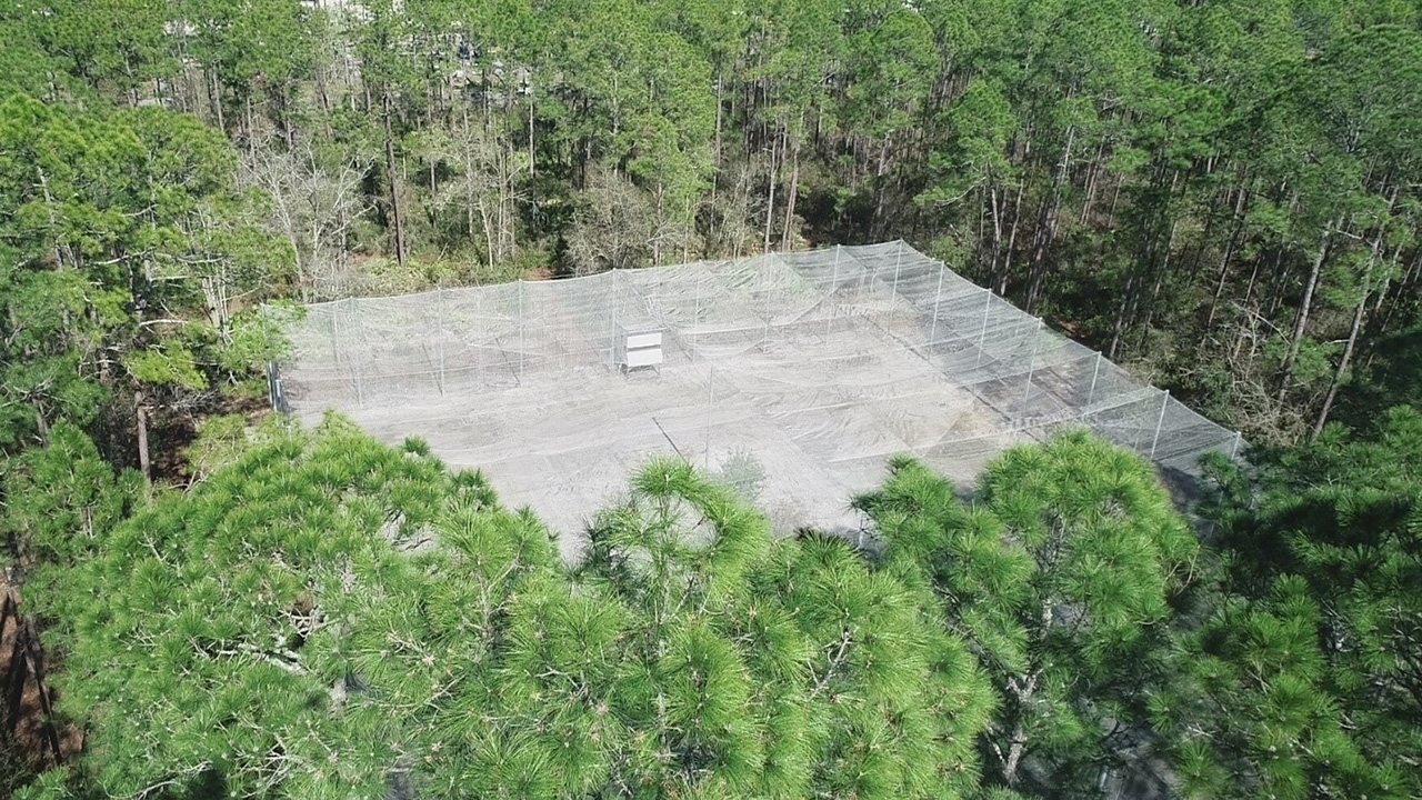 View of east flight pen looking north