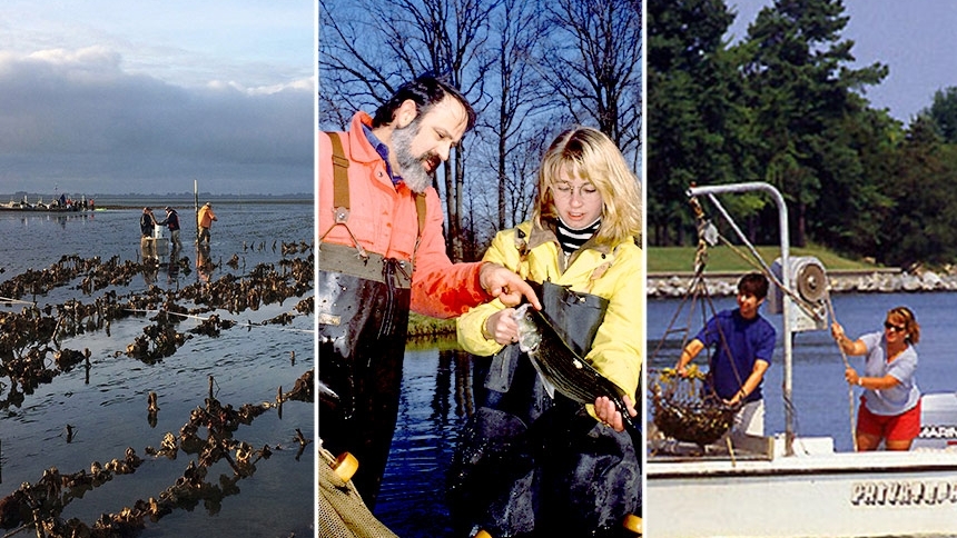 aquaculture collage