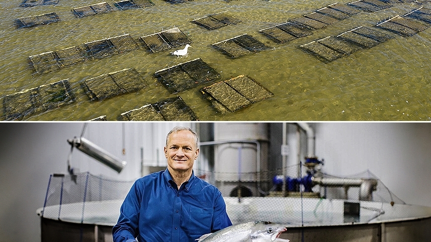 collage of aquaculture photos