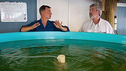 two men talking near a fish tank