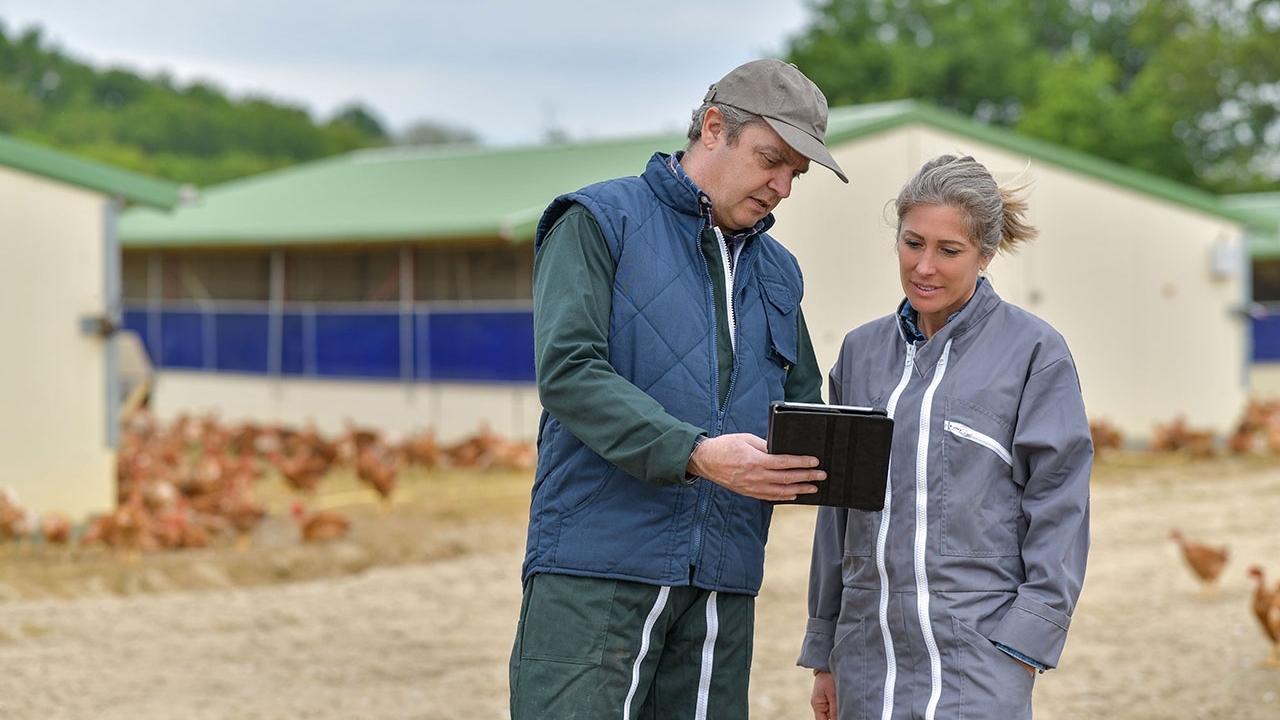 two people talking and pointing to a notebook at a farm with chickens and buildings in background