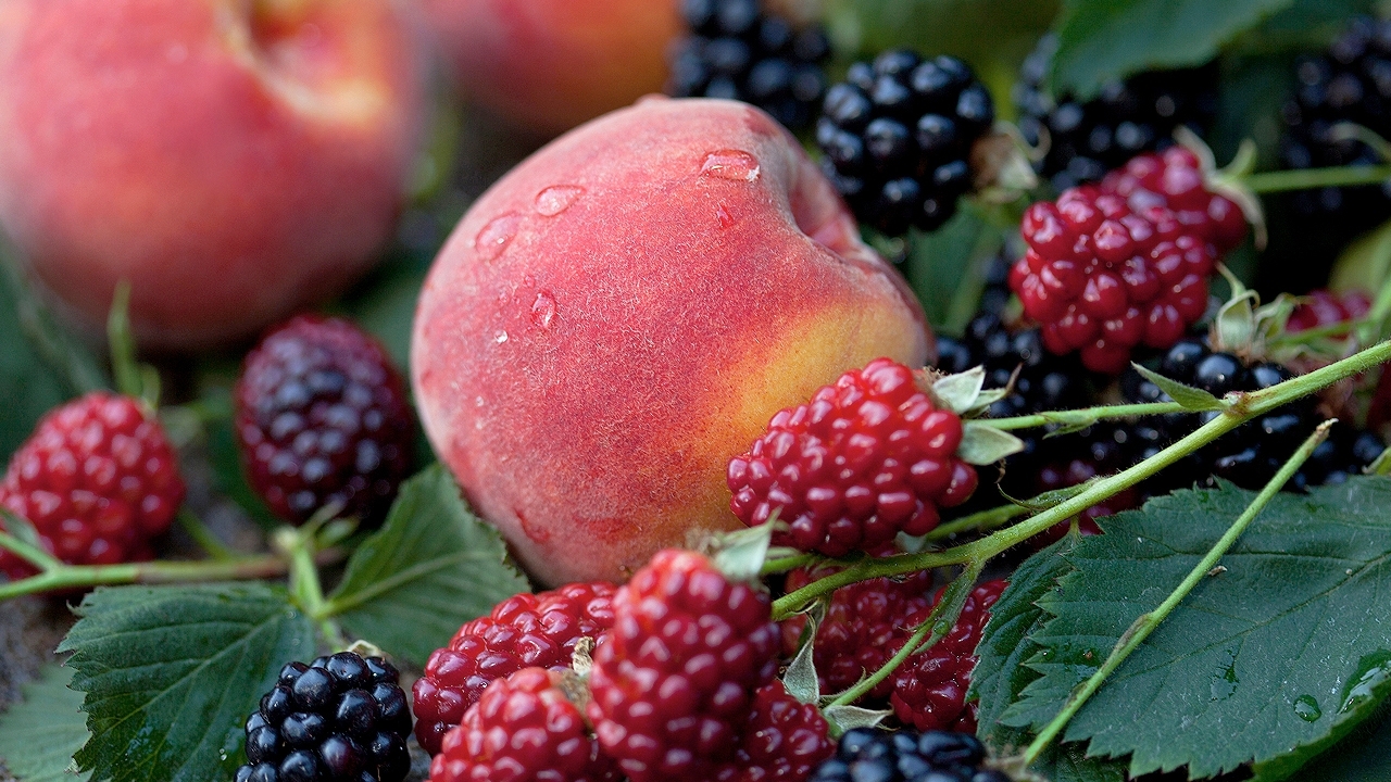 closeup image of fresh peaches and blackberries