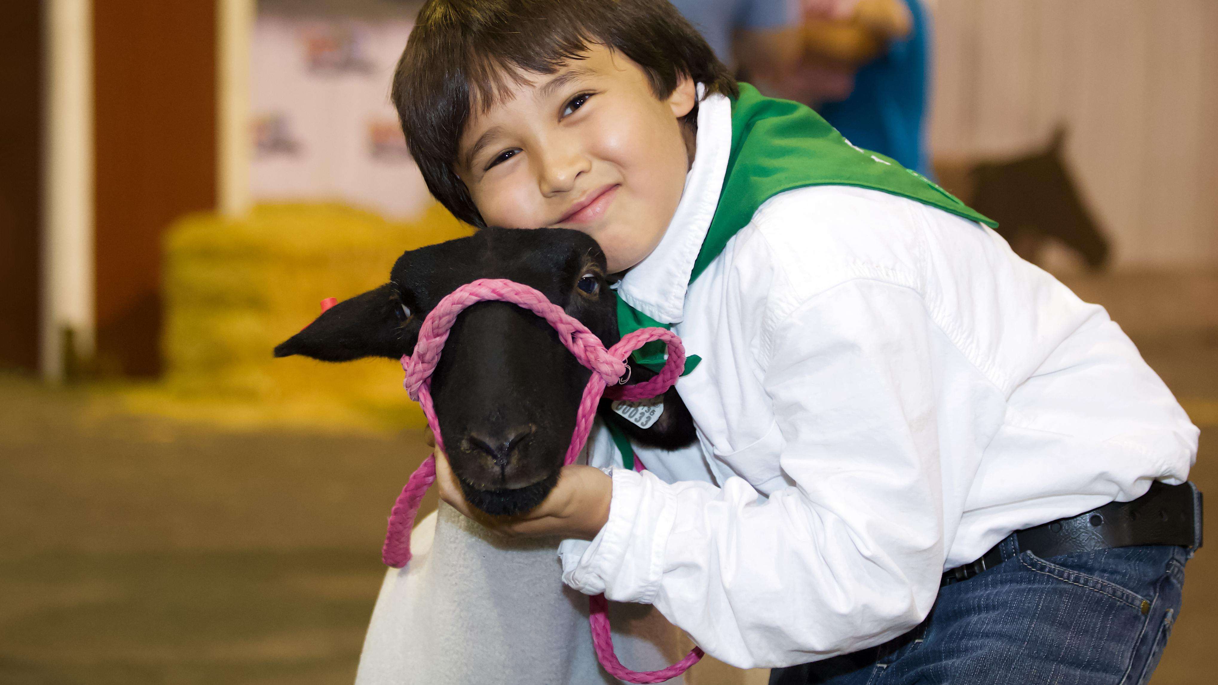 A young male 4-H agricultural club showman hugs his lamb while looking at the camera.