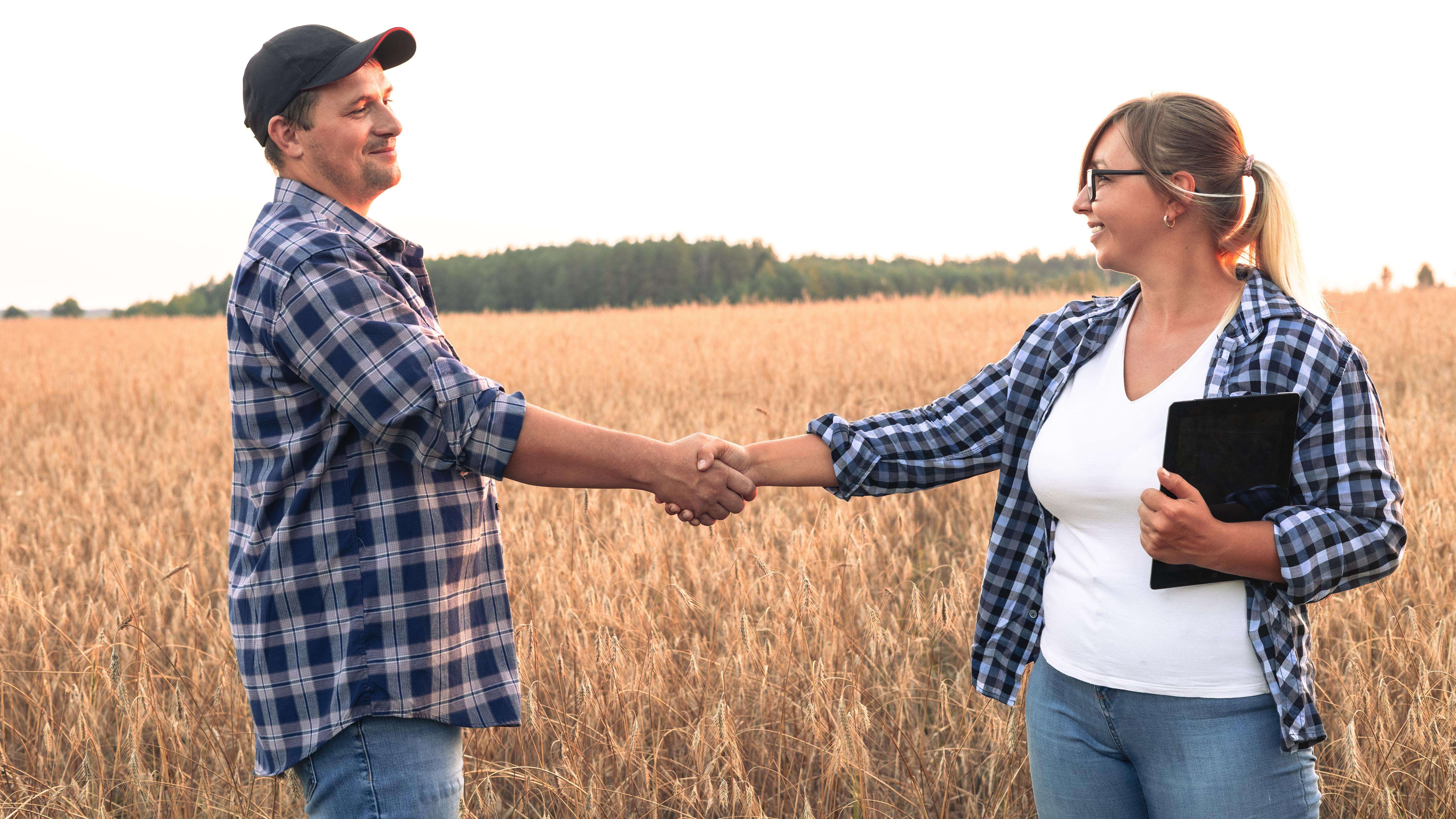 Two people shake hands while standing in a wheat field at sunset