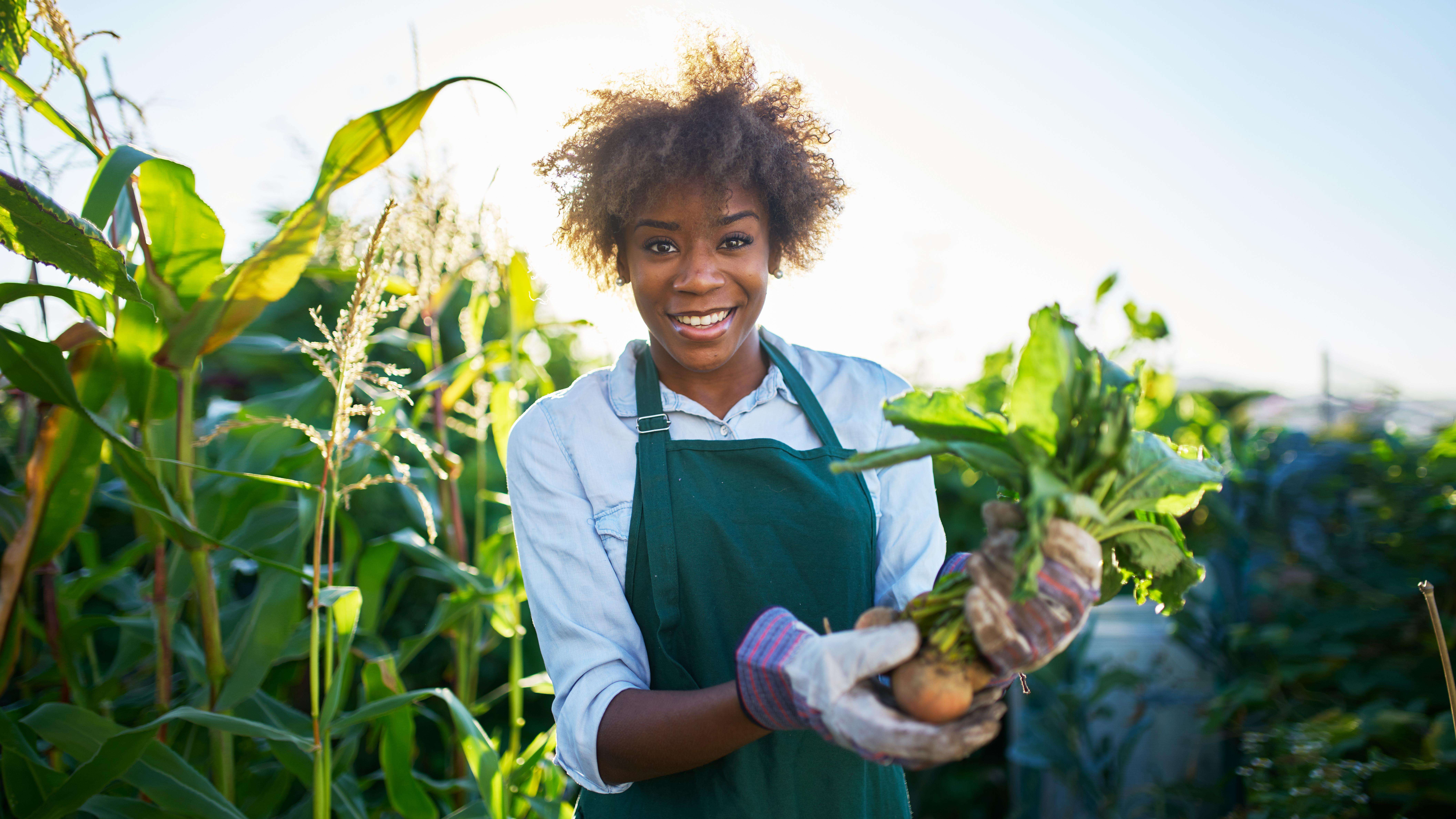 photo of a woman in an agricultural field holding a plant
