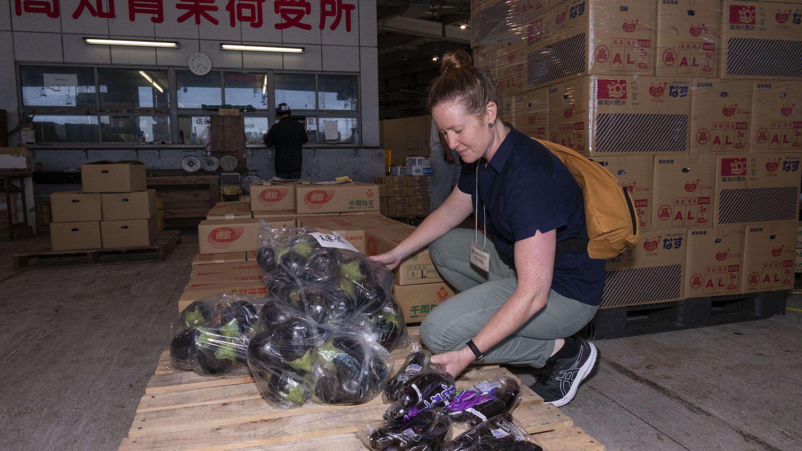 Foreign service officer inspecting bagged eggplants.