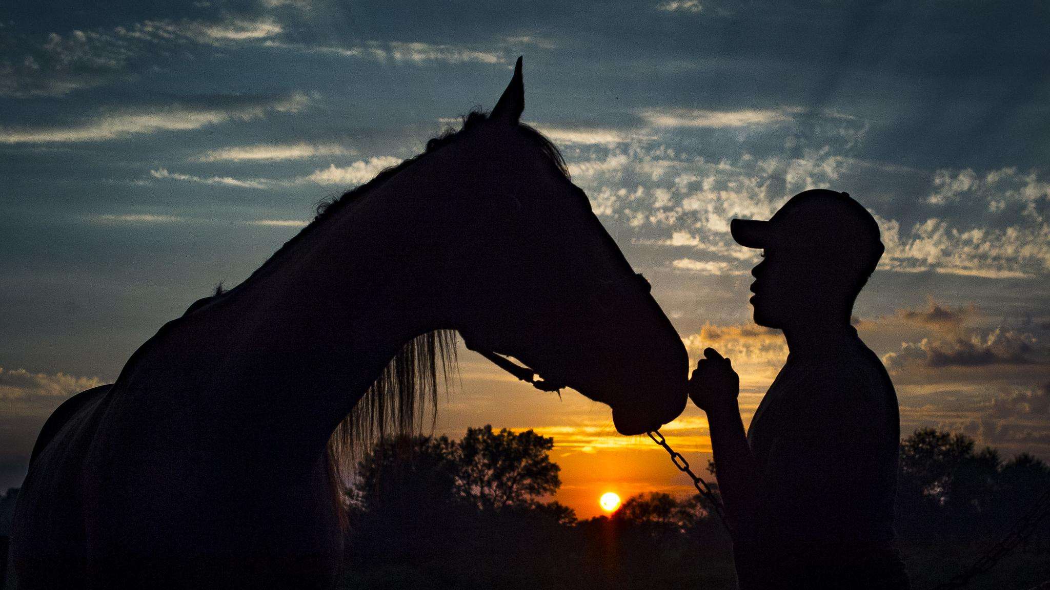 Horse and man silhouette at sunset.