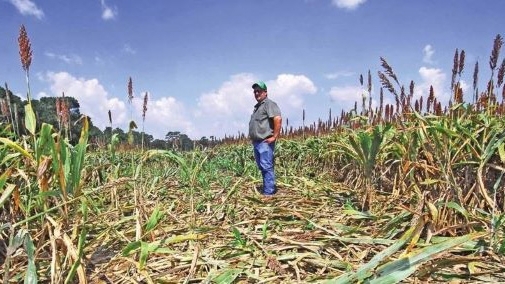 Man standing in a field