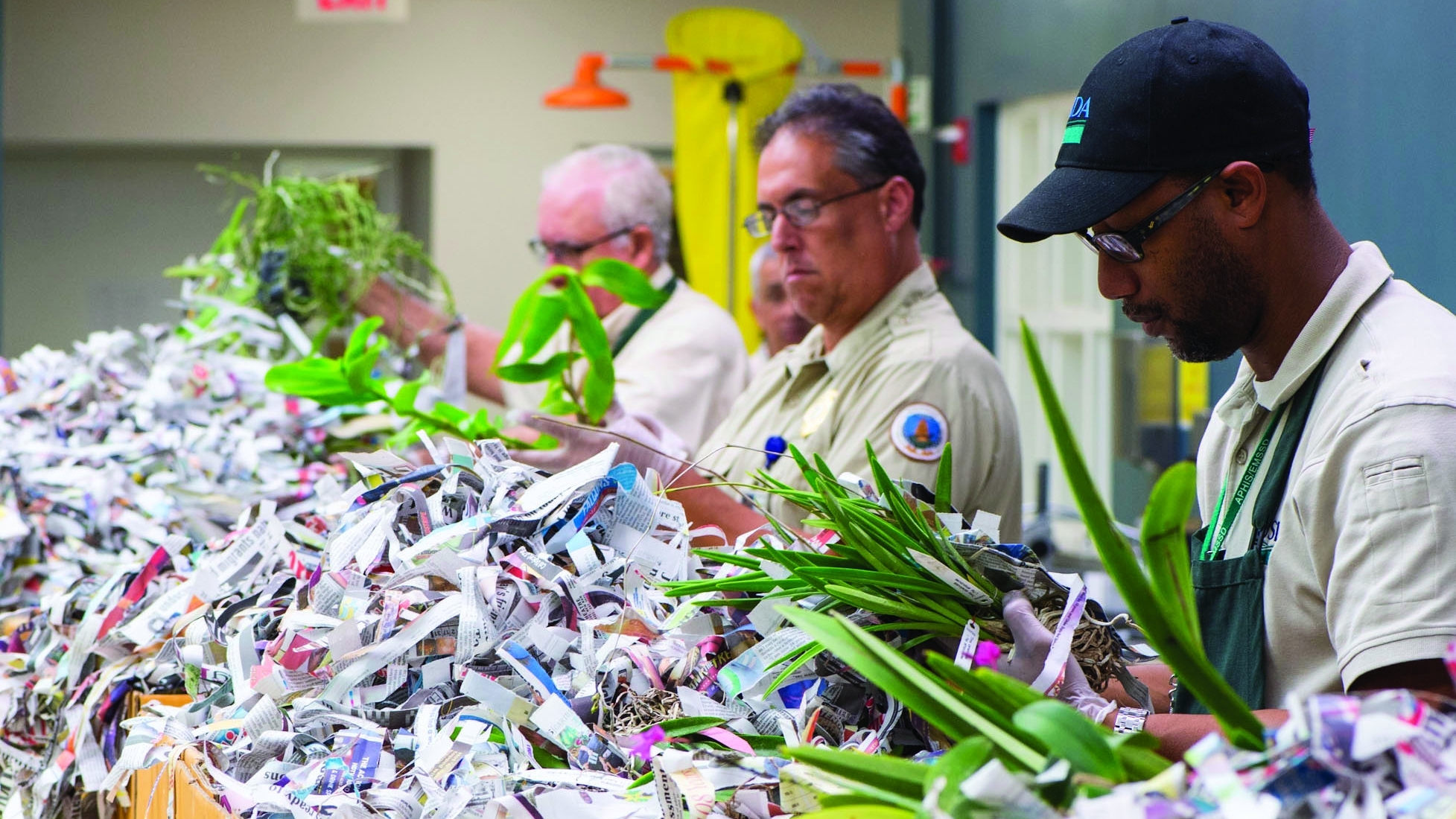 People inspecting plants