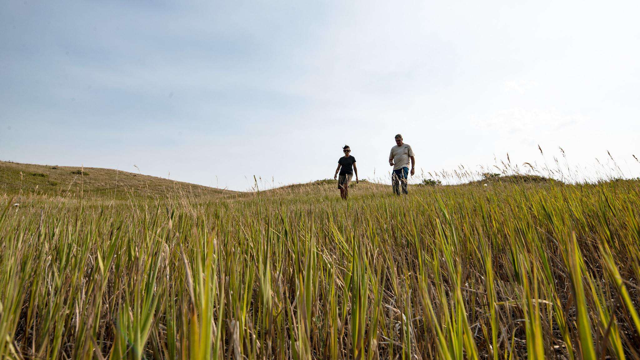 Two people walking across a field of grass.