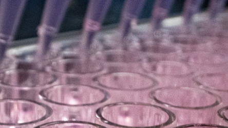 Image of Test Tubes for Veterinary Biological Products