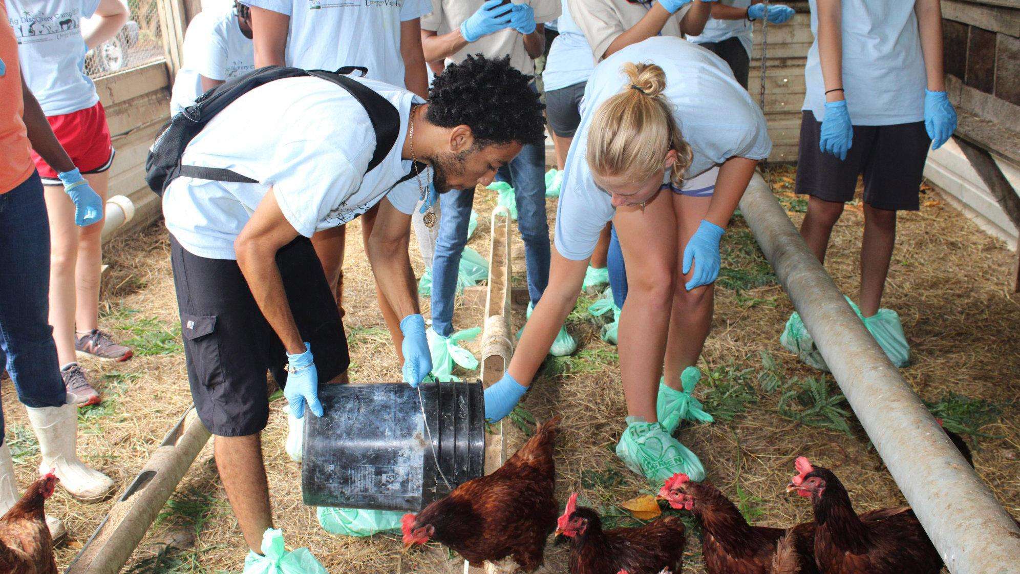 Students at USVI AgDiscovery