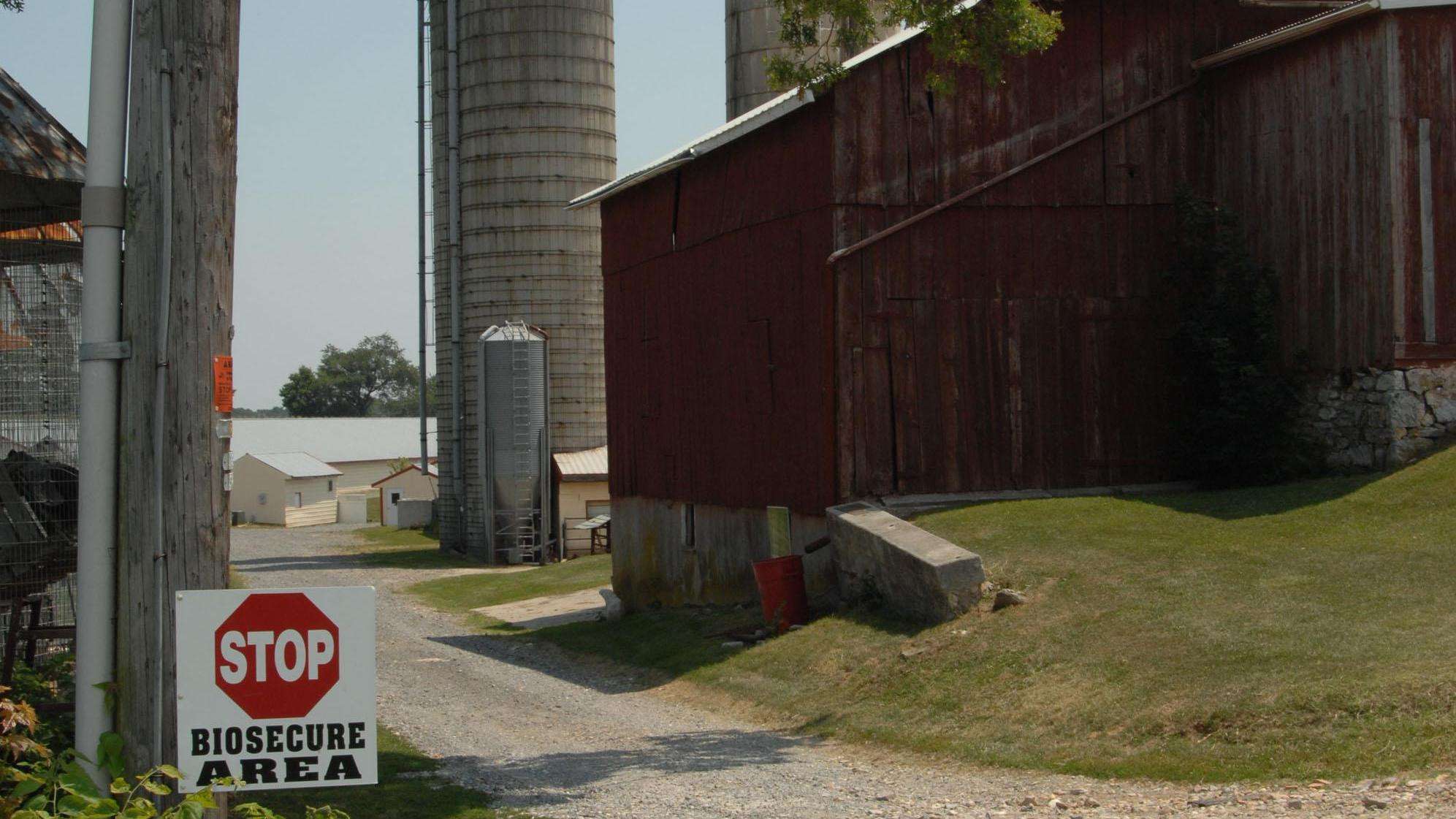 "Stop: Biosecure Area" sign next to a driveway at the entrance to a farm