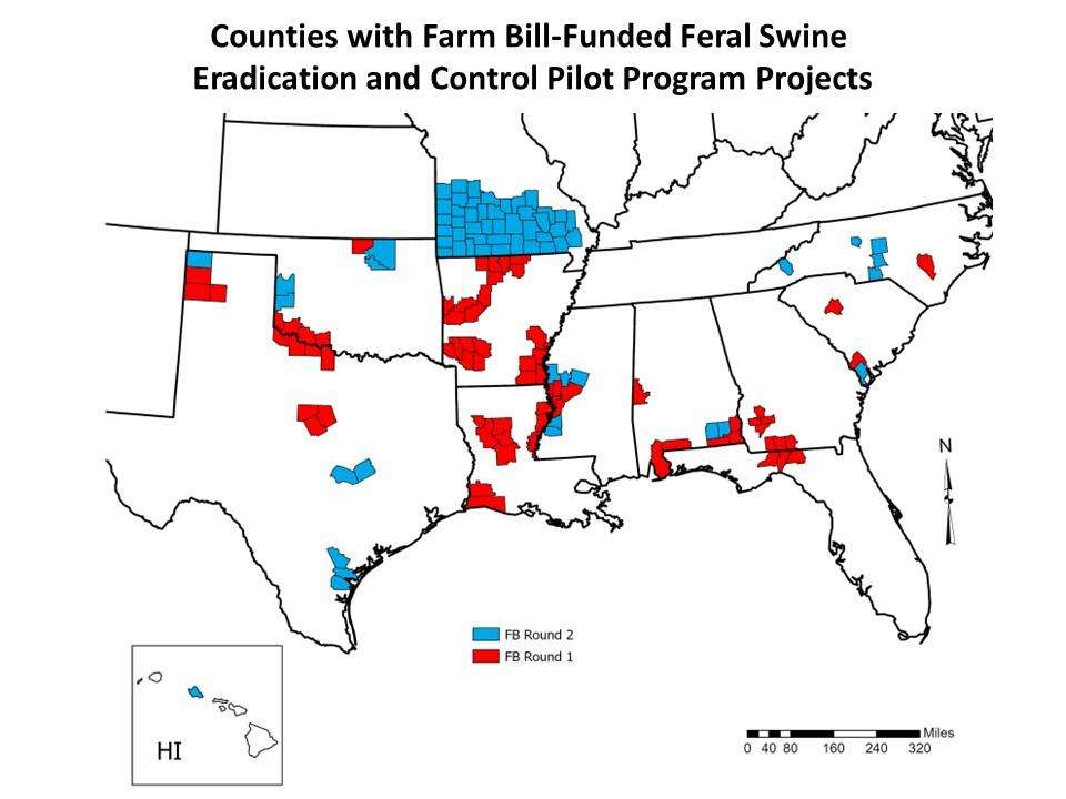 Map showing counties with farm bill-funded feral swine control programs
