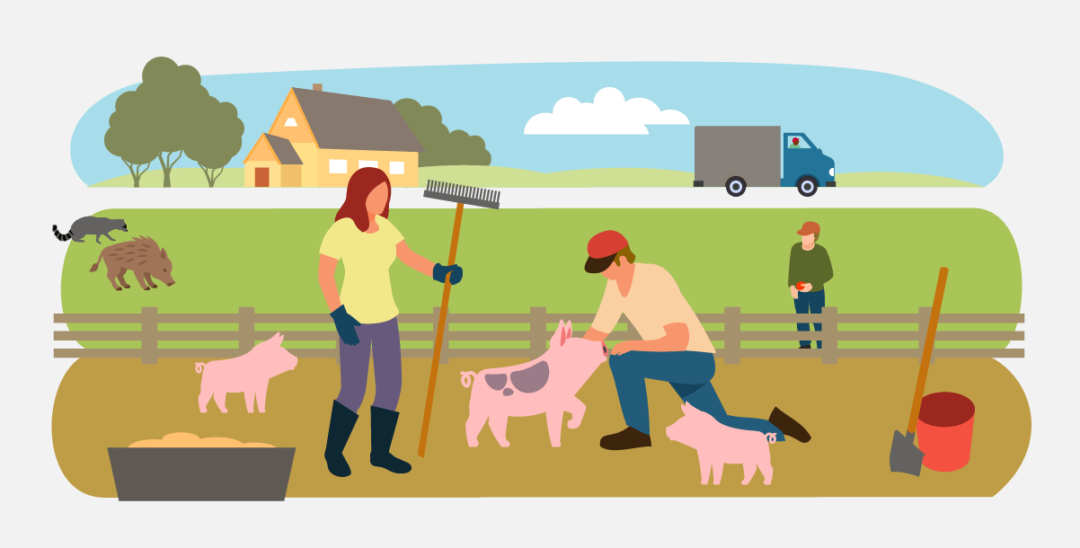 illustrated scene of a farmer and her pigs