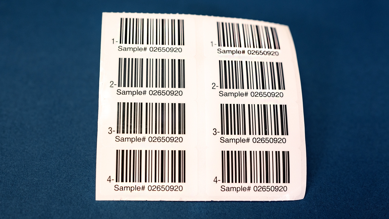 BSE Bard Code Labels