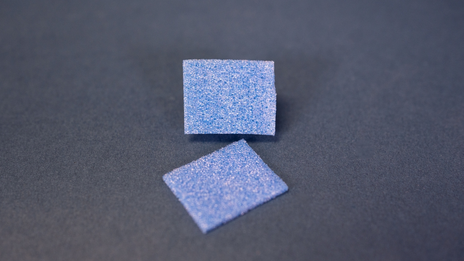 Biopsy Sponge