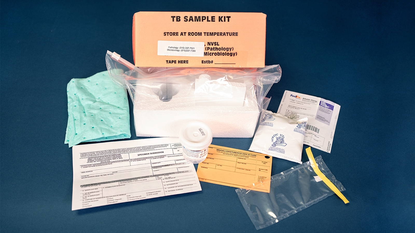 TB Kit Deer Orange