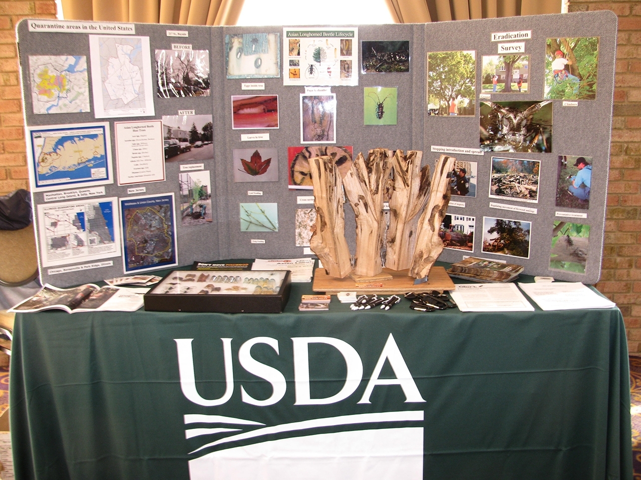 table at an outreach event with display of asian longhorned beetle photographs and identification items; table covered with a tablecloth that has USDA logo on the front