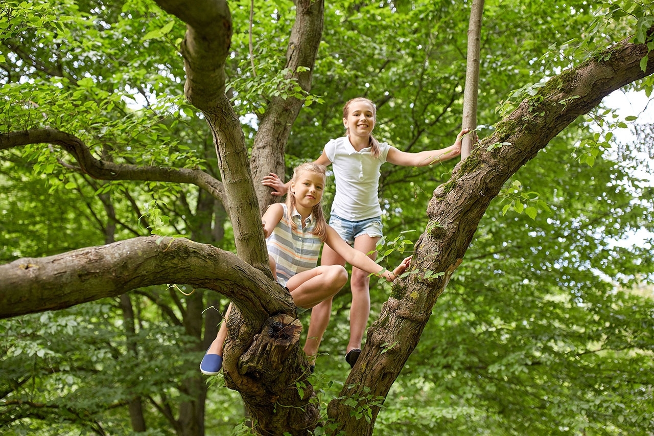 two young girls climbing a tree and smiling at the camera