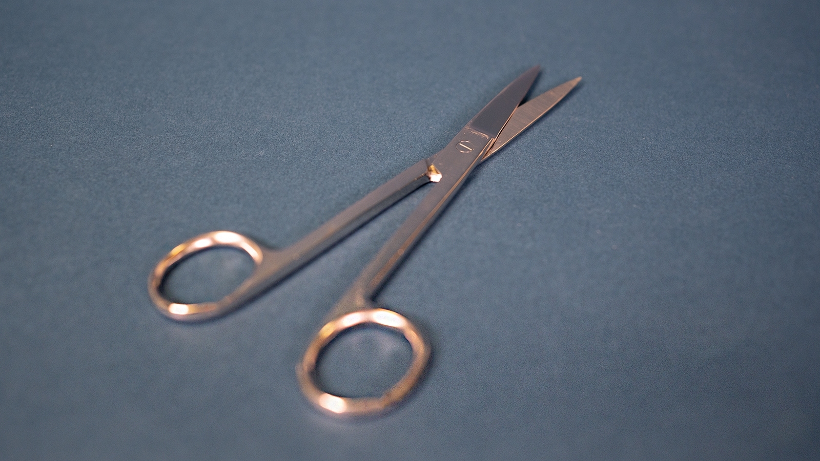 Instruments - Dressing Scissors