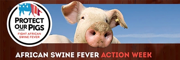 ASF action week header