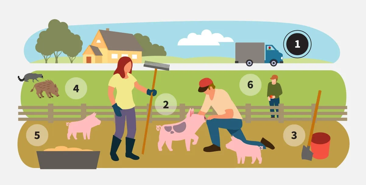 protect our pigs small farm graphic