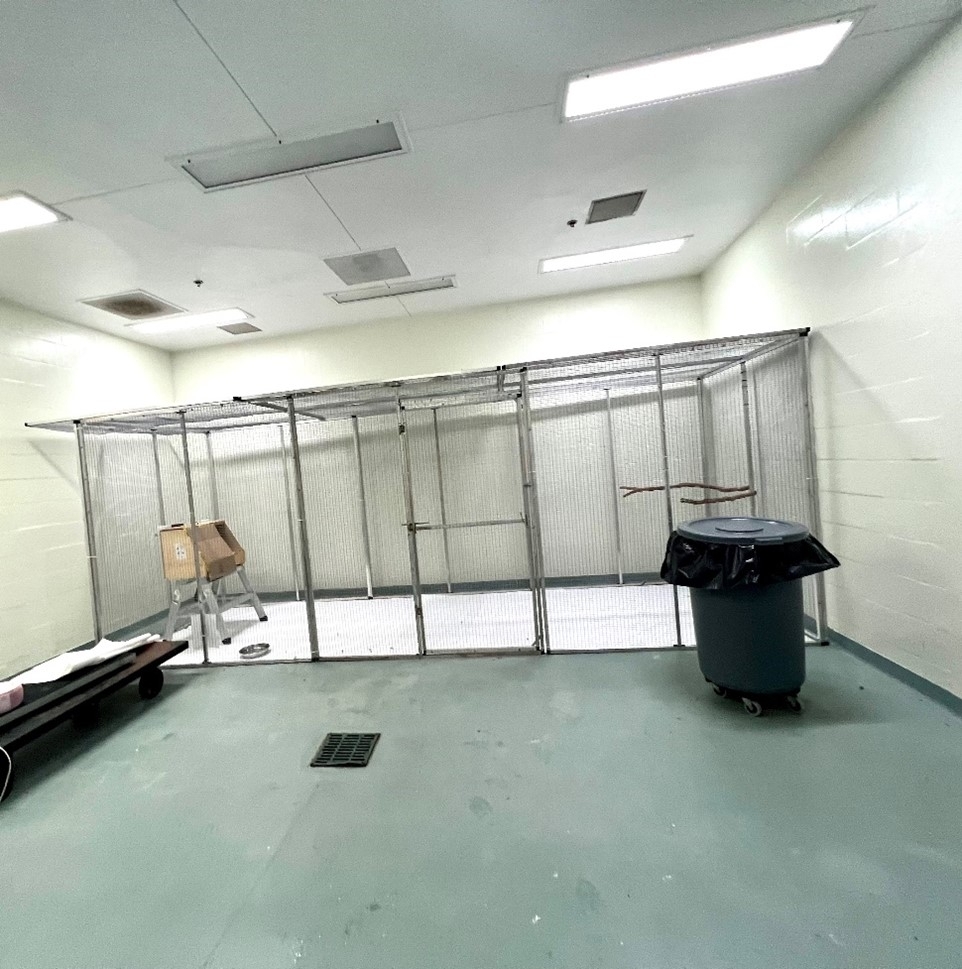 inside of a commercial bird room at Miami Animal Import Center - shows a clean, brightly lit room with an animal housing enclosure