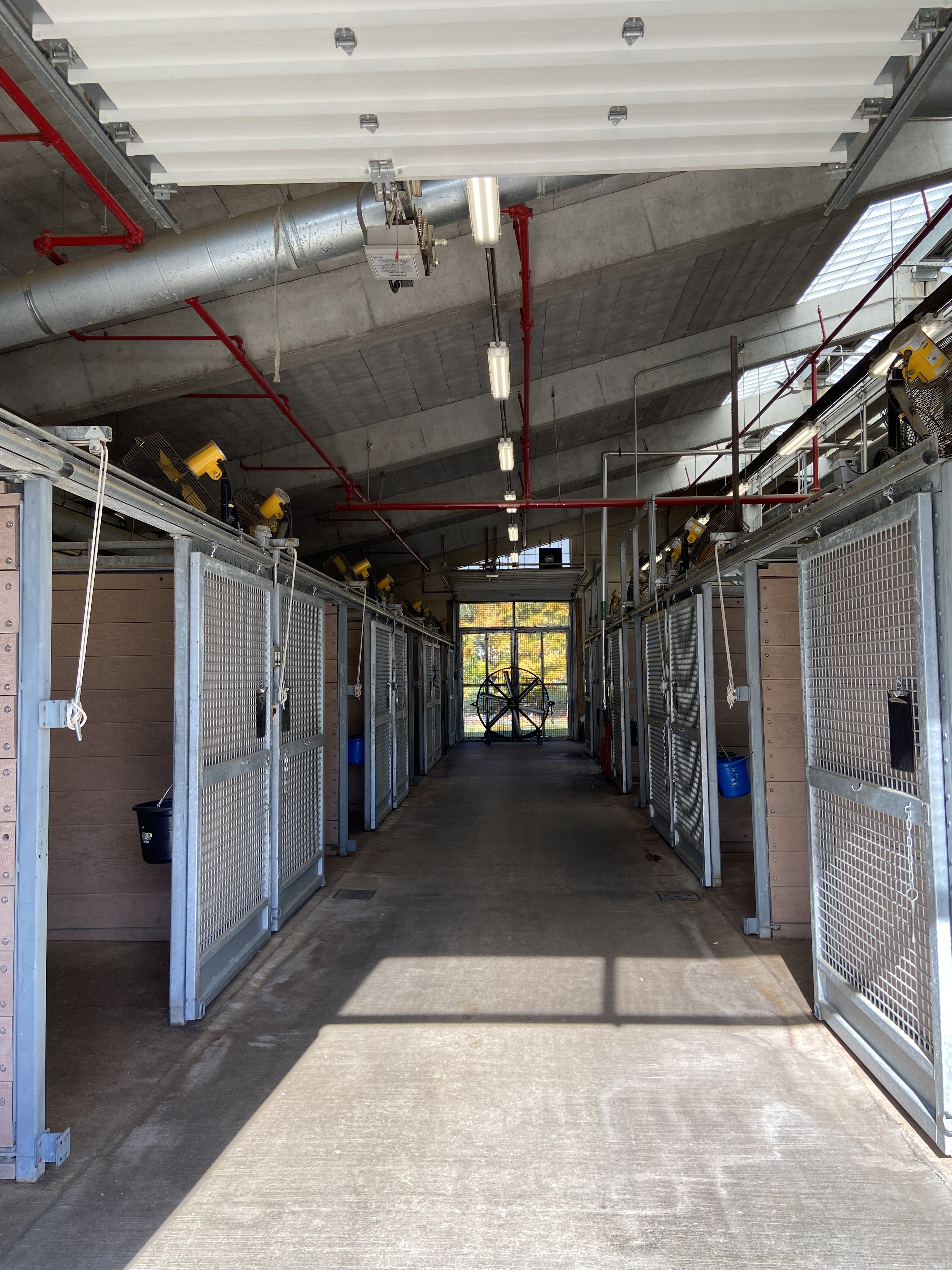 inside of an equine barn at New York Animal Import Center