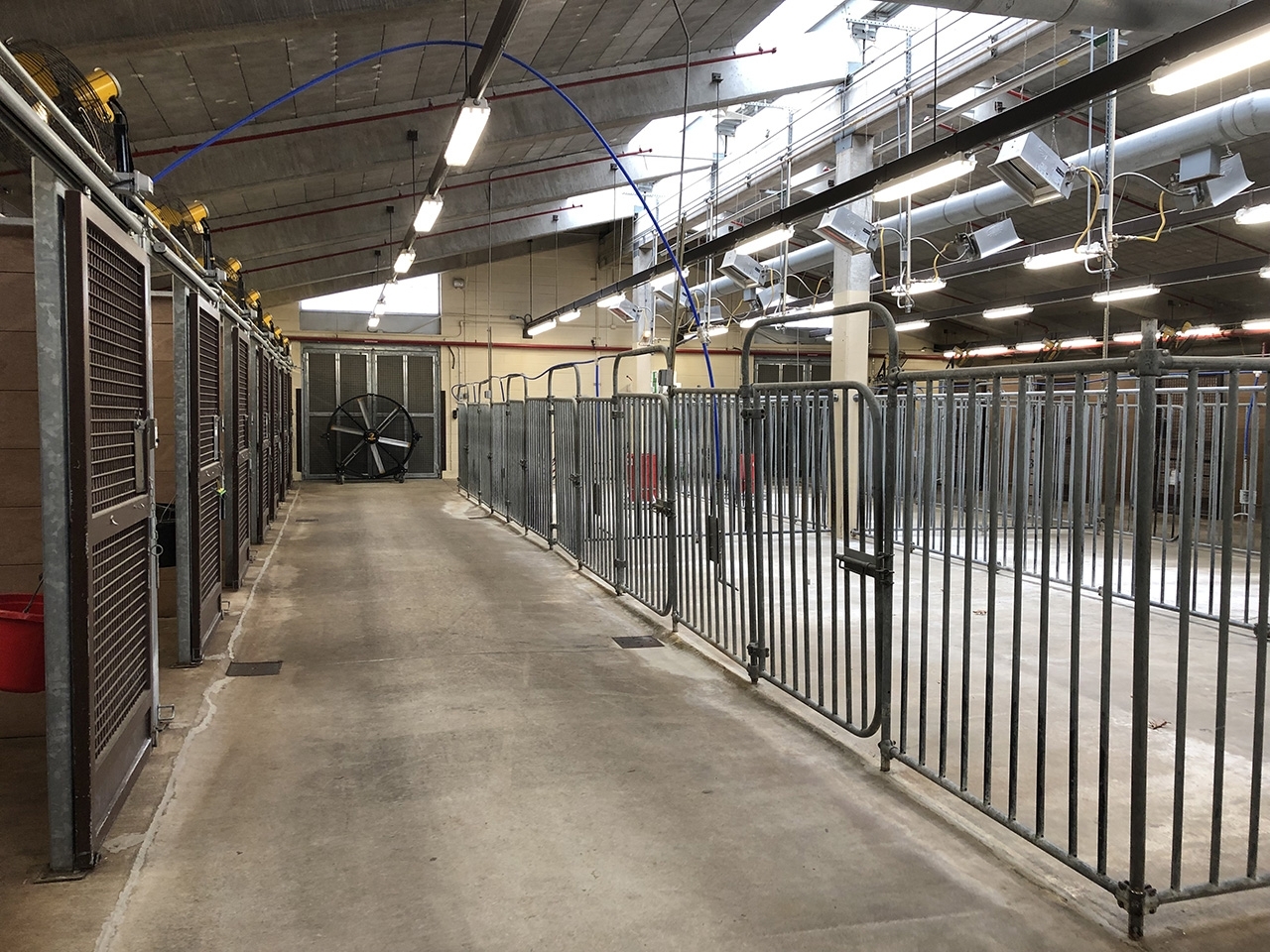 inside of equine barn at New York Animal Import Center