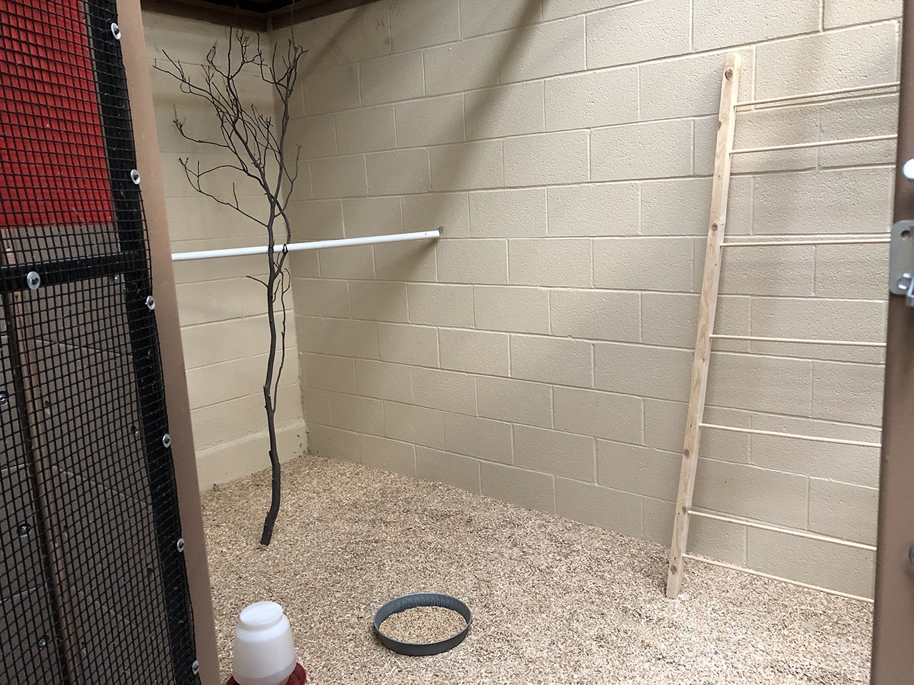 inside of a finch aviary at New York Animal Import Center