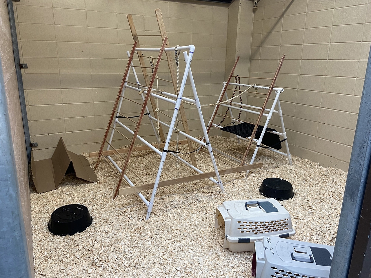 inside of a housing enclosure setup for parrots in quarantine