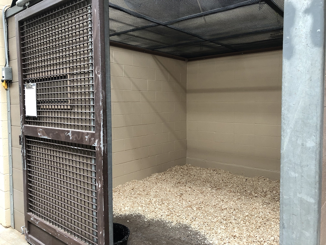 inside of a pigeon import stall at New York Animal Import Center