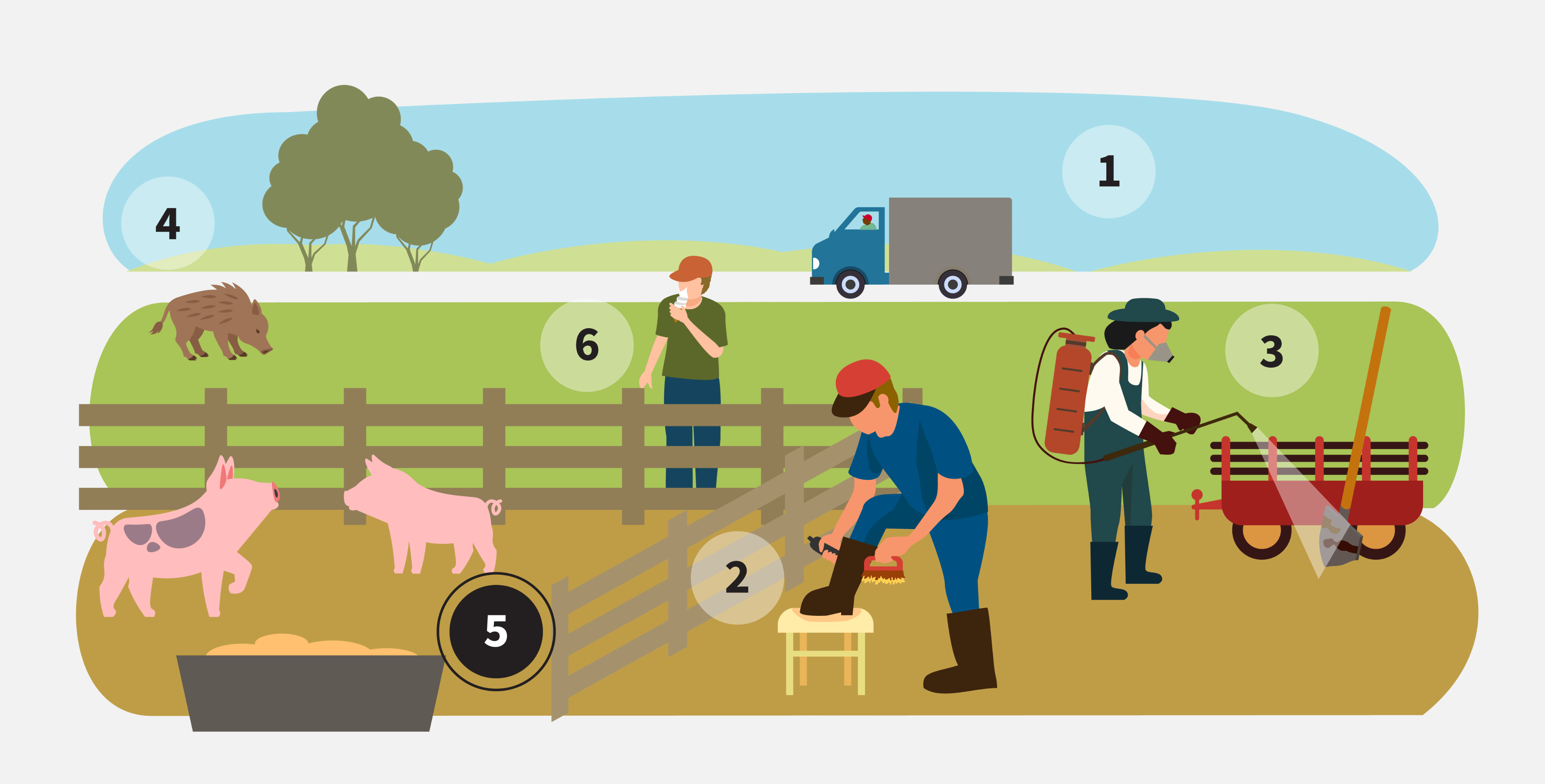 infographic highlighting step 5