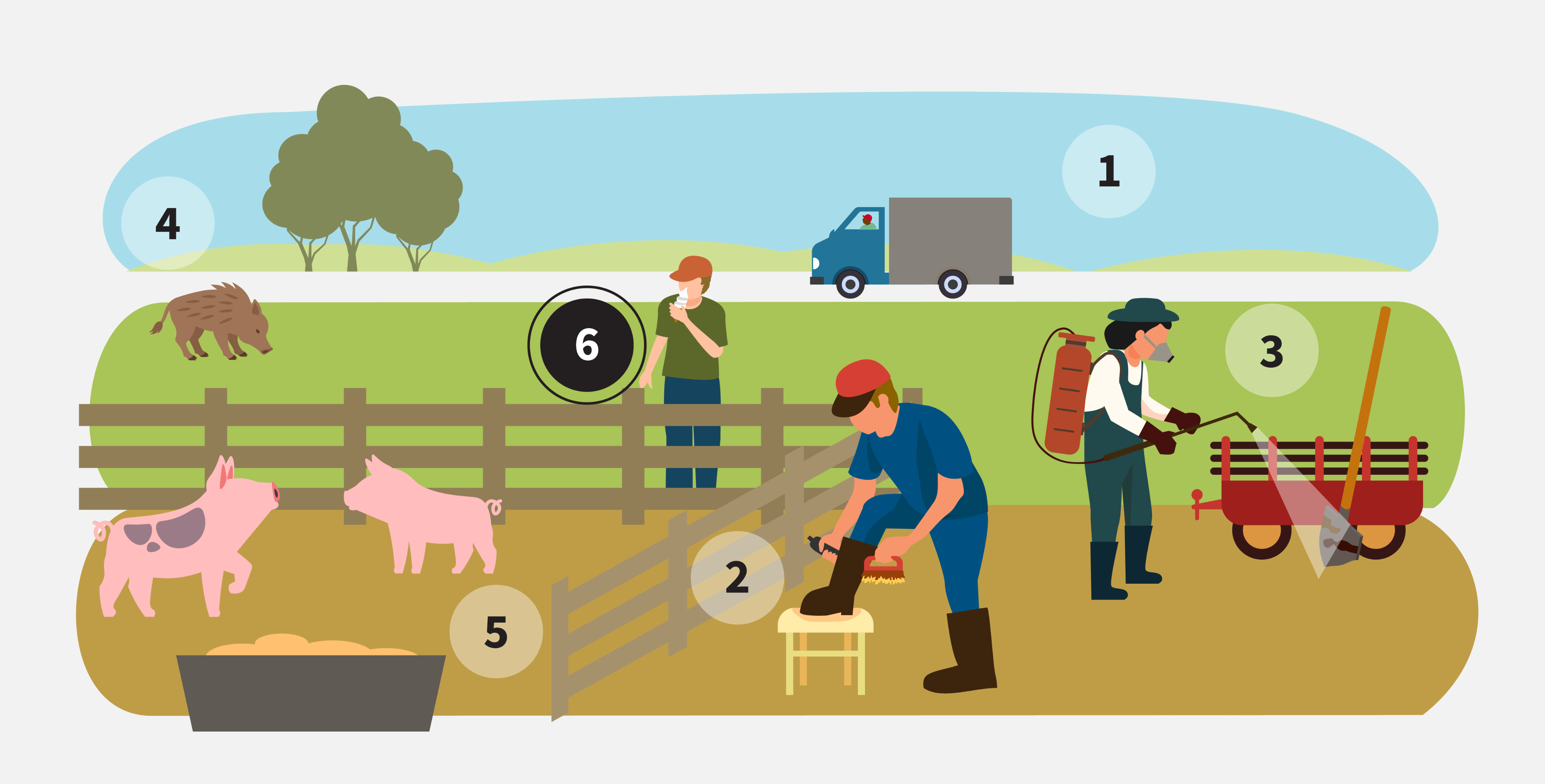 infographic highlighting step 6