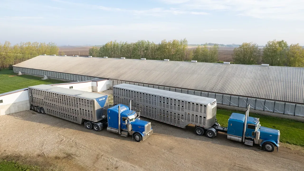 Trailer trucks