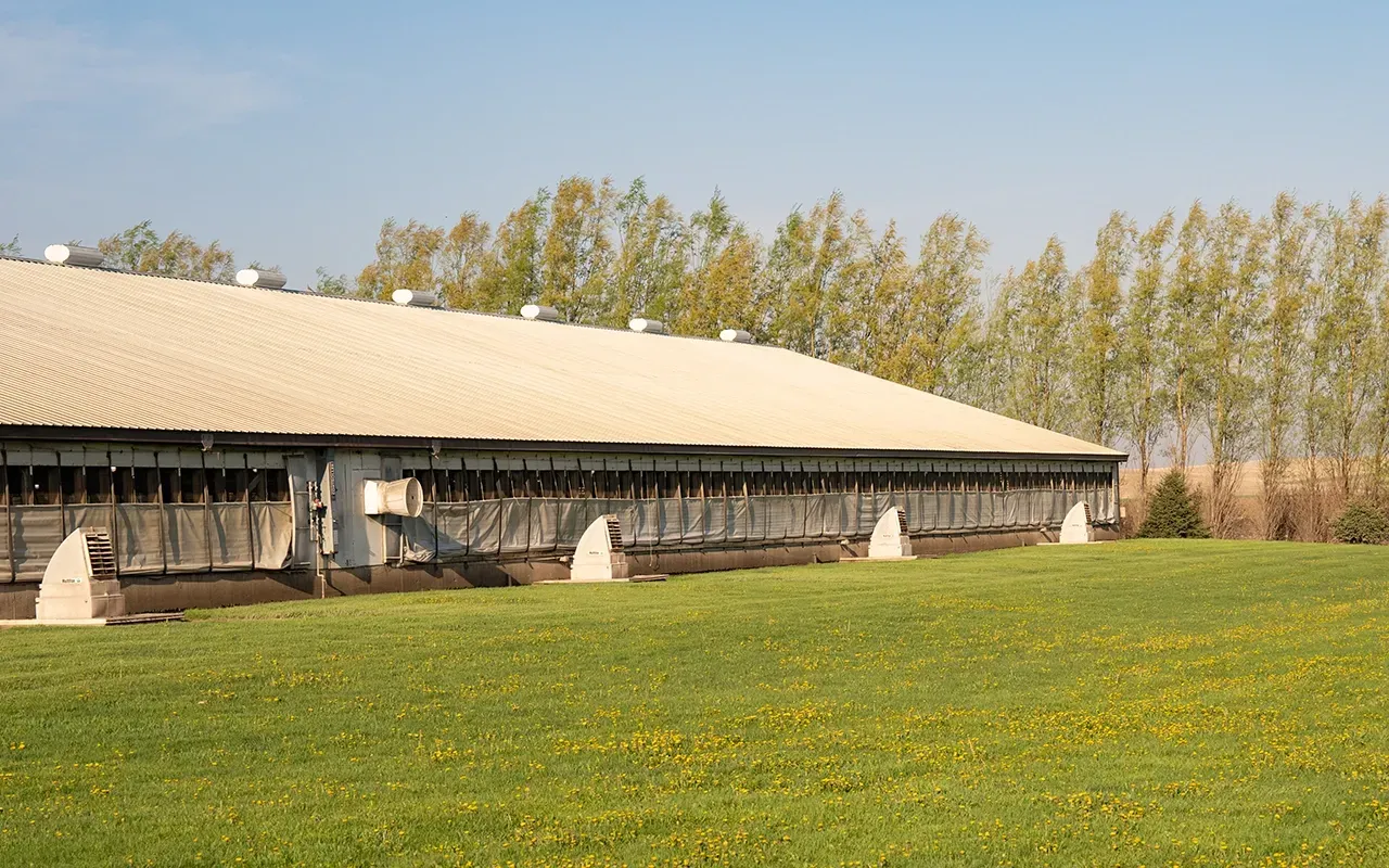 barn