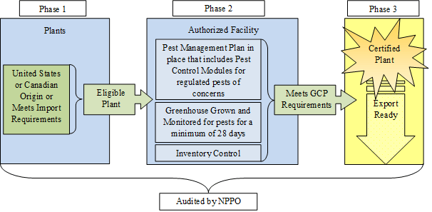 Flow chart illustrating how plants enter the program (Phase 1), are produced (Phase 2), and are certified (Phase 3).
