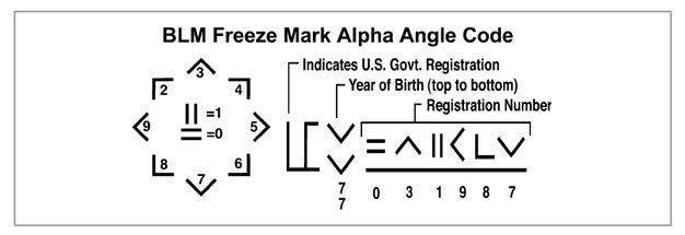 BLM Freeze Mark Alpha Angle Code