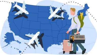international pet travel american airlines