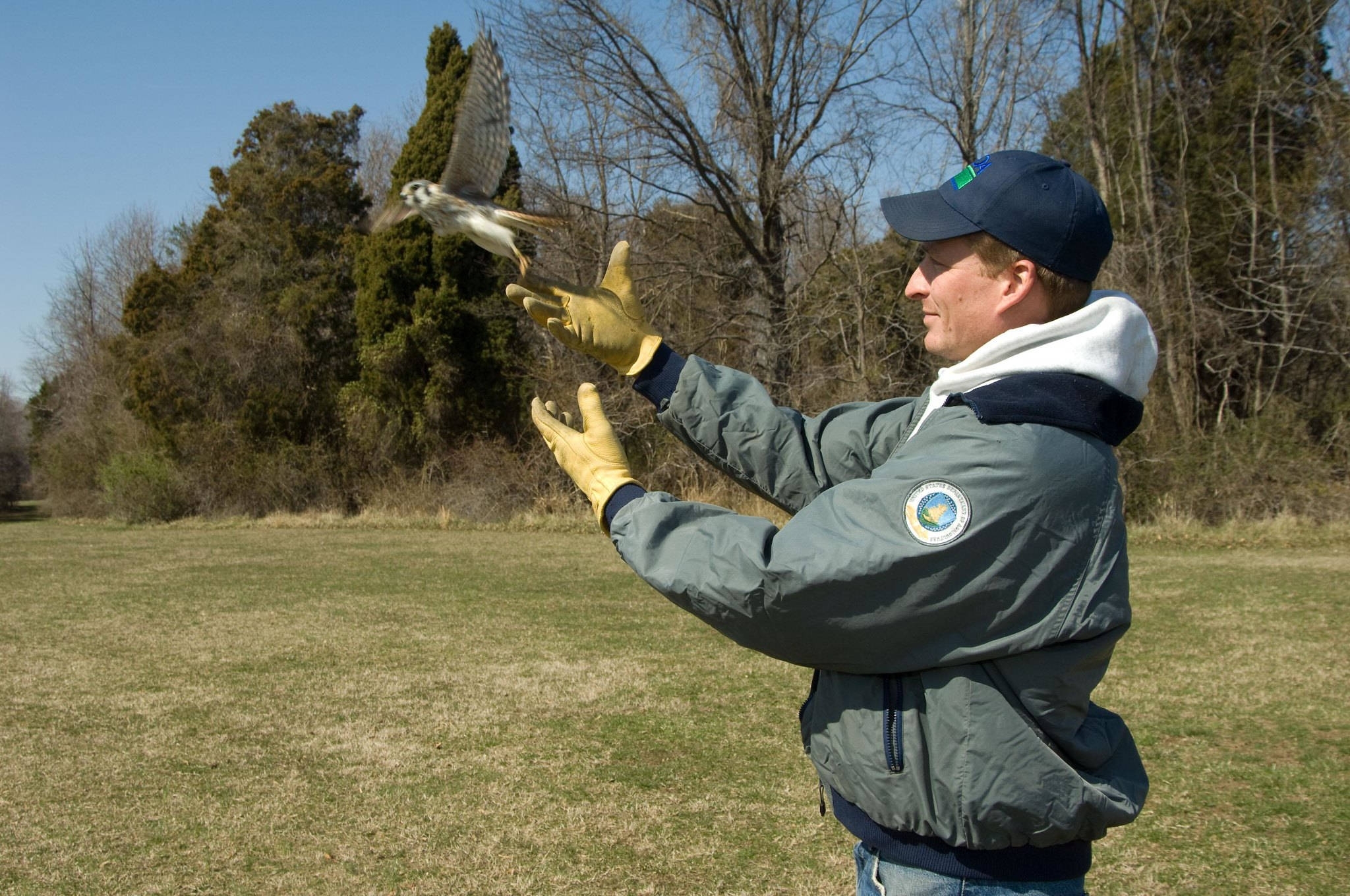 Bird flies away after man releases it.